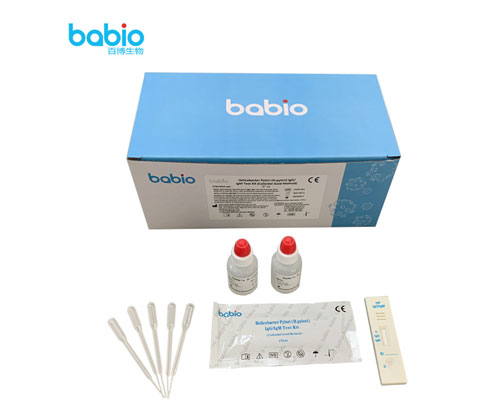 Helicobacter pylori (H.pylori) IgG/IgM Test Kit Διαδικασία δοκιμής