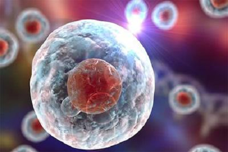 Ο Babio εγκαινιάζει υψηλής ποιότητας διάλυμα Giemsa Stain B για προχωρημένη κυτταρογενετική και αιματολογική διάγνωση