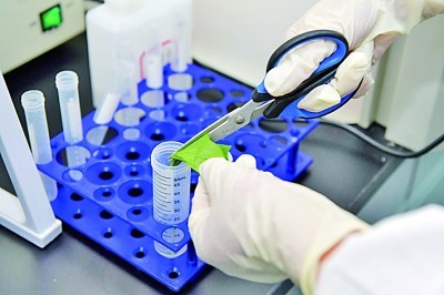 Η αξιόπιστη ταυτοποίηση βακτηρίων που έγινε απλή με το κιτ λεκών Gram's Gram's Babio