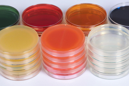 Υψηλής ποιότητας Sapouraud Dextrose Agar (SDA) από Babio