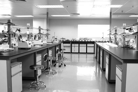Babio Salmonella Shigella Agar: Αξιόπιστο μέσο για την ασφάλεια των τροφίμων και την κλινική διάγνωση