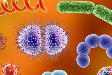 Η BABIO λανσάρει μέσο εμπλουτισμού Salmonella Shigella για αξιόπιστη μεταφορά εντερικών παθογόνων