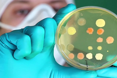 Η BABIO λανσάρει το Premium Trypticase Soy Broth (TSB) για την παγκόσμια κλινική και εργαστηριακή μικροβιολογία
