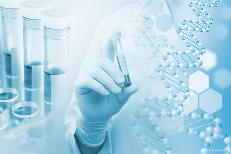 Agar Medium B (Casein Soya Bean Digest Agar) – Μια αξιόπιστη επιλογή για μικροβιακή καλλιέργεια